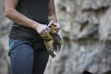 Black Diamond - Transition Gloves