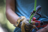 Black Diamond - Transition Gloves