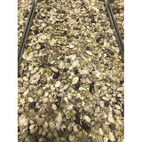 Pure Choice - Mixed Beans