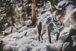 Mountainsmith - K9 Pack