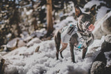 Mountainsmith - K9 Pack