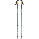 Black Diamond - Alpine Carbon Cork Trek Poles