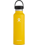 Hydro Flask - 21 oz Standard Mouth with Flex Cap